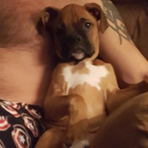 Meet your Posher, Shelly